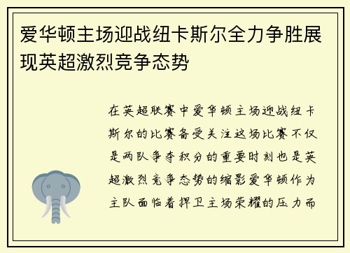 爱华顿主场迎战纽卡斯尔全力争胜展现英超激烈竞争态势
